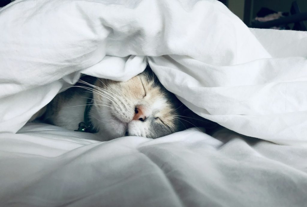 Chambre calme préparée pour une bonne nuit de sommeil